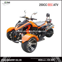 200cc CEE Trike ATV Kawasaki Quad Venta caliente en Alemania 250cc Trike ATV con CEE Aprobado